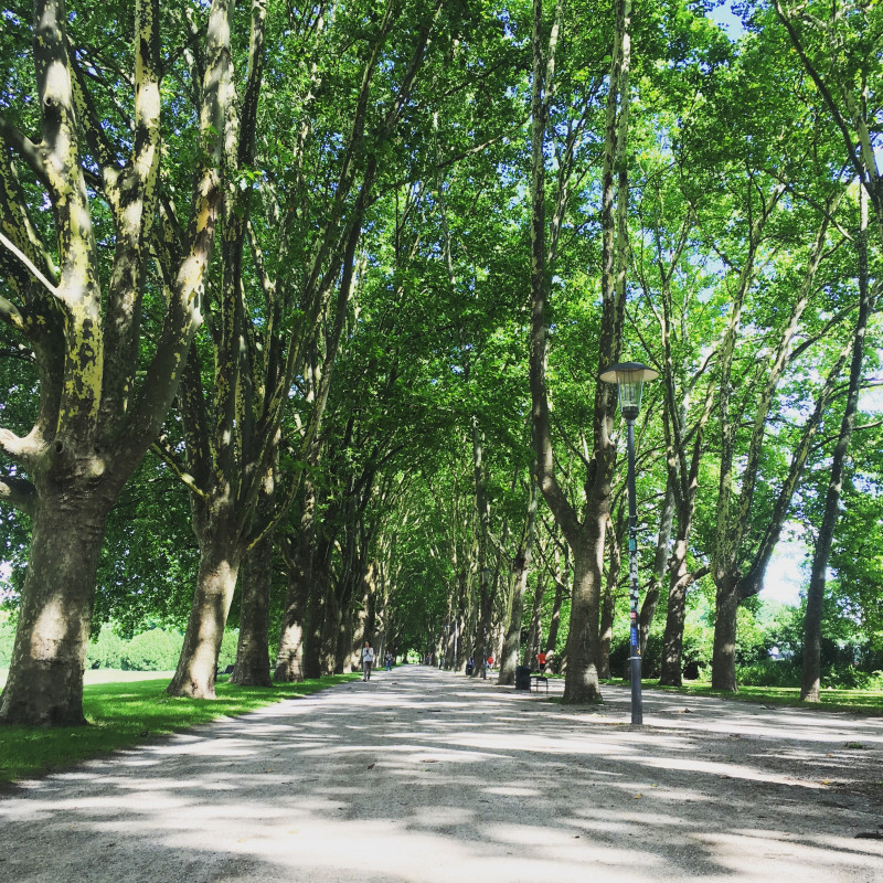 Ein Park in Köln